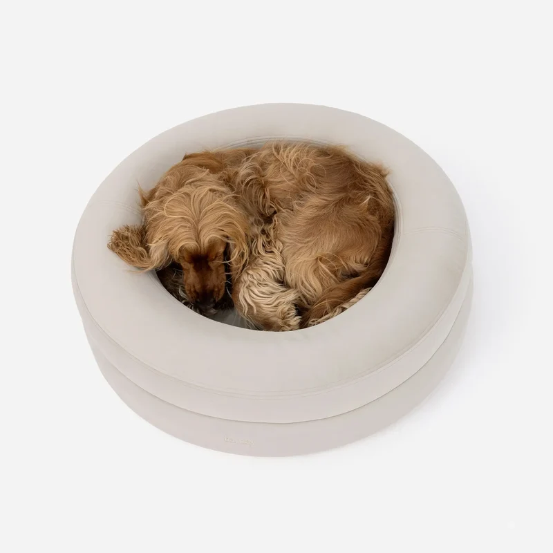 Signature Cover Curl in Bone on a medium BarneyCurl, from above: a golden Cocker Spaniel curled up asleep inside.