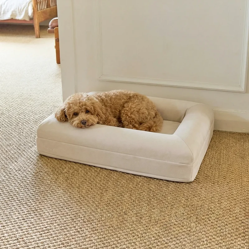 Small Barney Bed in Bone
