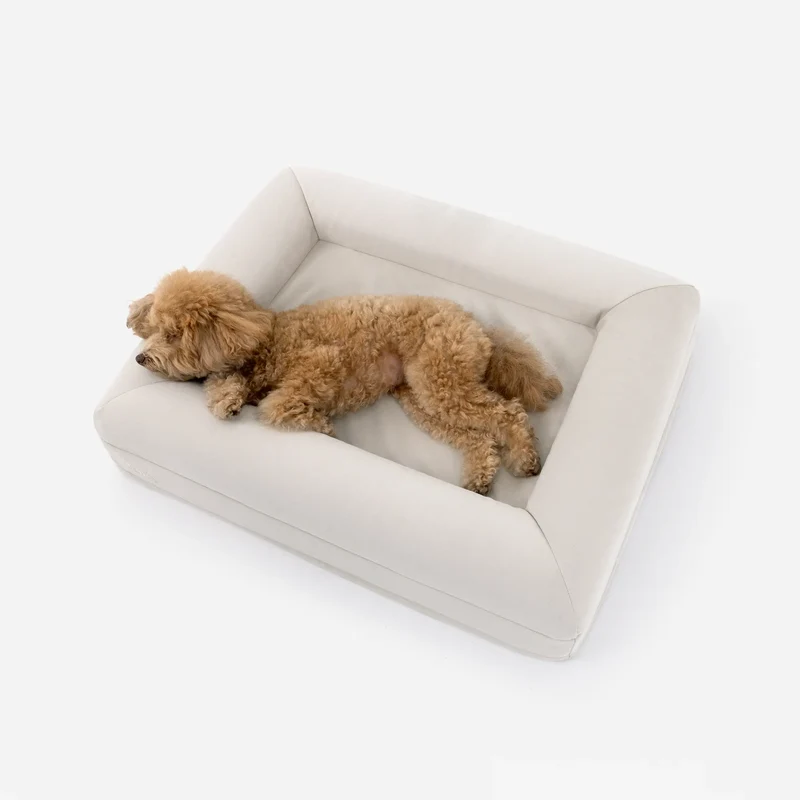 Small Barney Bed in Bone, seen from above: an apricot Toy Poodle stretched out across it, head on the bolster.