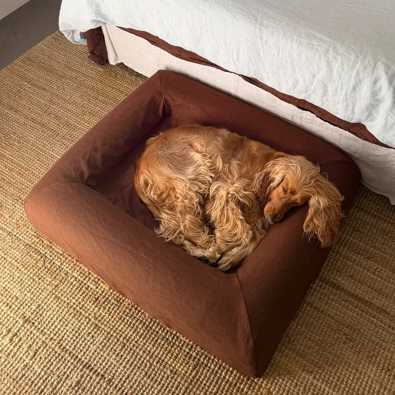 Linen Cover in Moose on a Medium Barney Bed: a red Cocker Spaniel curled up asleep on the brown linen, seen from above.