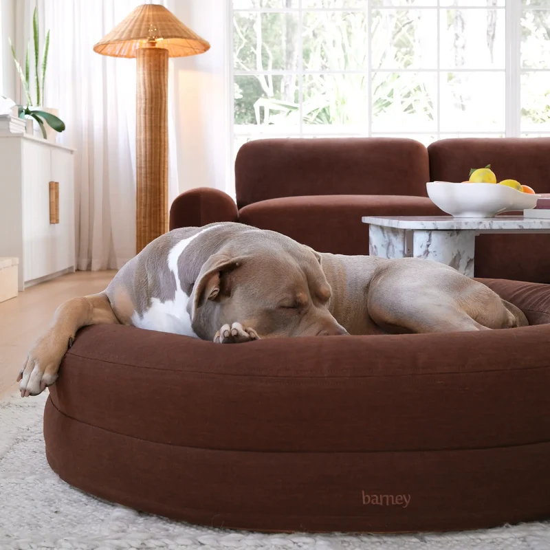 Linen Cover Curl in Moose