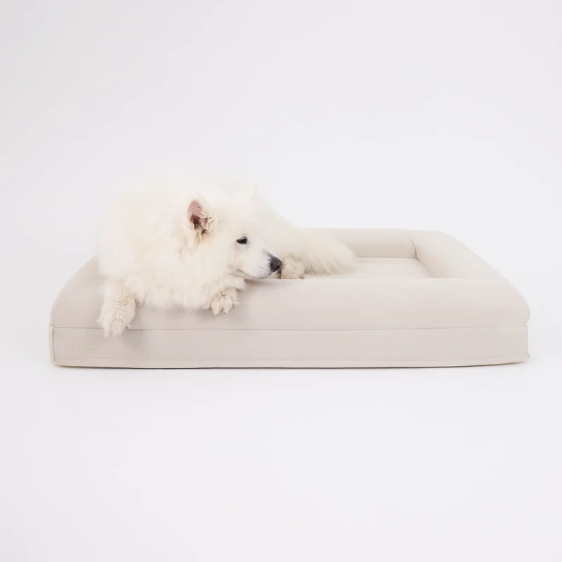 Signature Cover in Bone: a fluffy white dog lying on an off-white bed, front paws over the bolster.